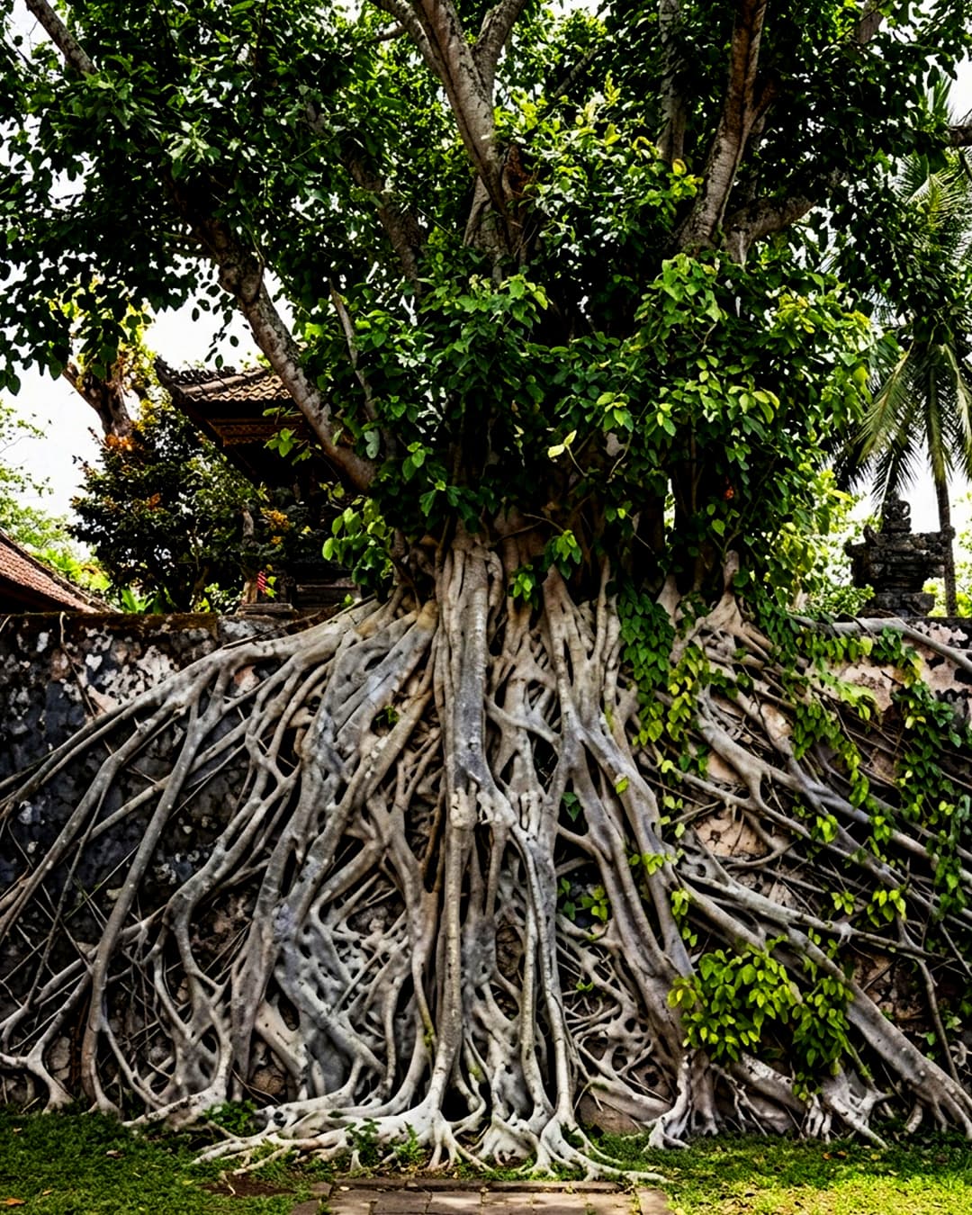 Sri Satyadeva Nursery