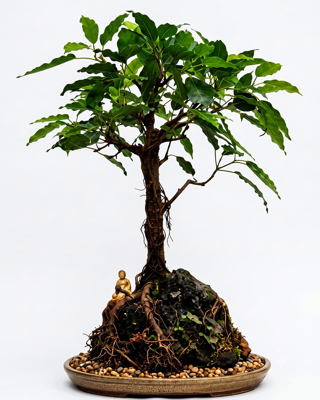 Sri Satyadeva Nursery